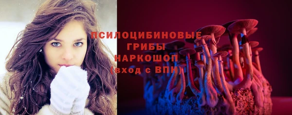 каннабис Майский