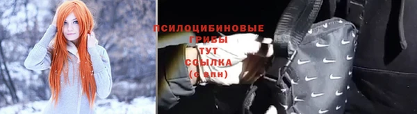 кокс Магас